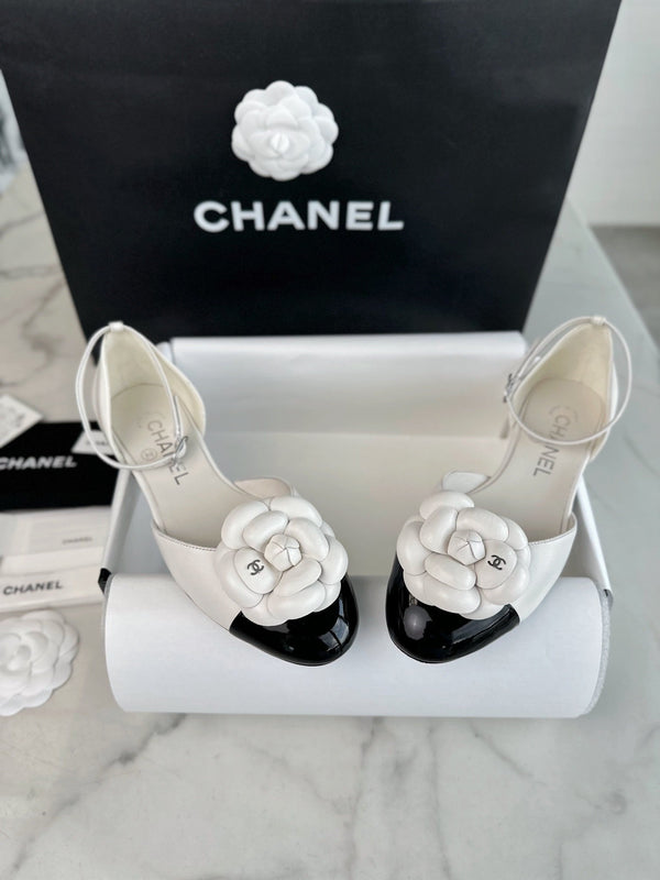 Camellia shoes
